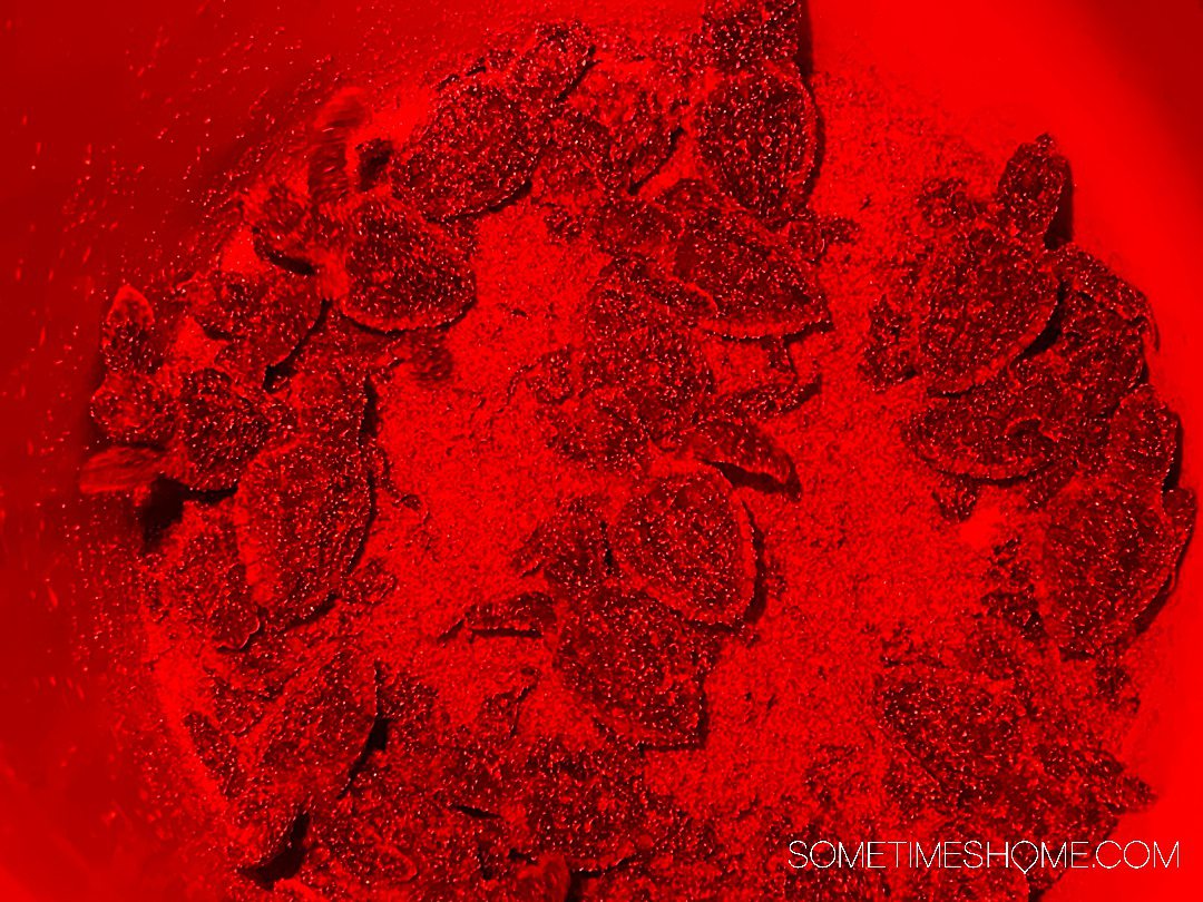 Sea turtle hatchlings in a bucket covered in some sand.