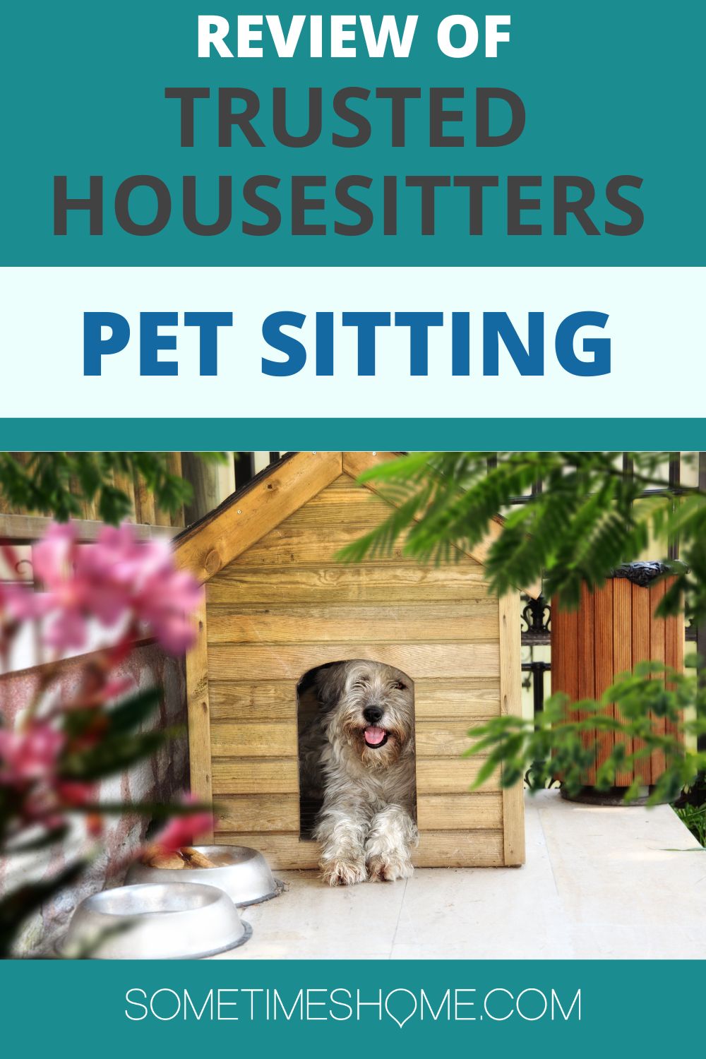 Pet house hot sale sitters