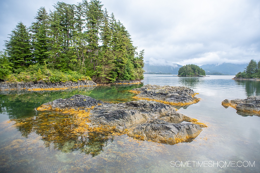 Ocean view from Twin Islands Retreat in Sitka, Alaska with islands and evergreens dotting the landscape.
