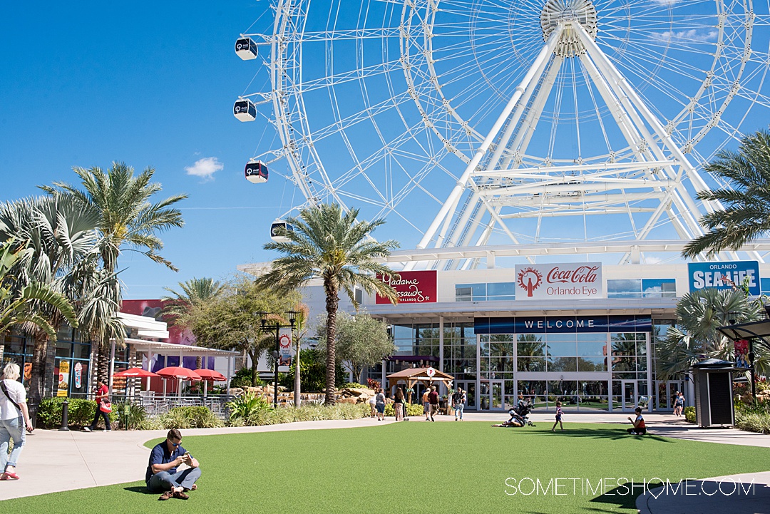 Ferris Wheel called The Wheel in Orlando, Florida, one of the best things to do in ICON Park.