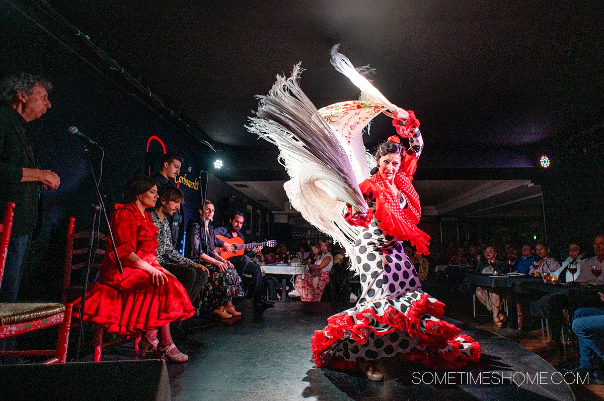 Flamenco dancer in a red, black and white dress, spinning holding a scarf with fringe.