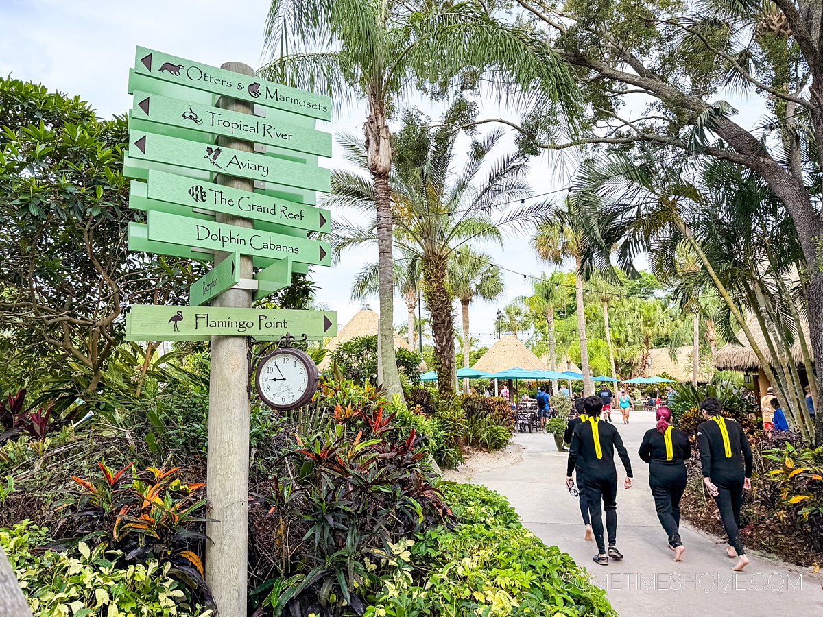 Wood pole with green direction signs next to a pathway at Discovery Cove theme park, with palm trees all around.