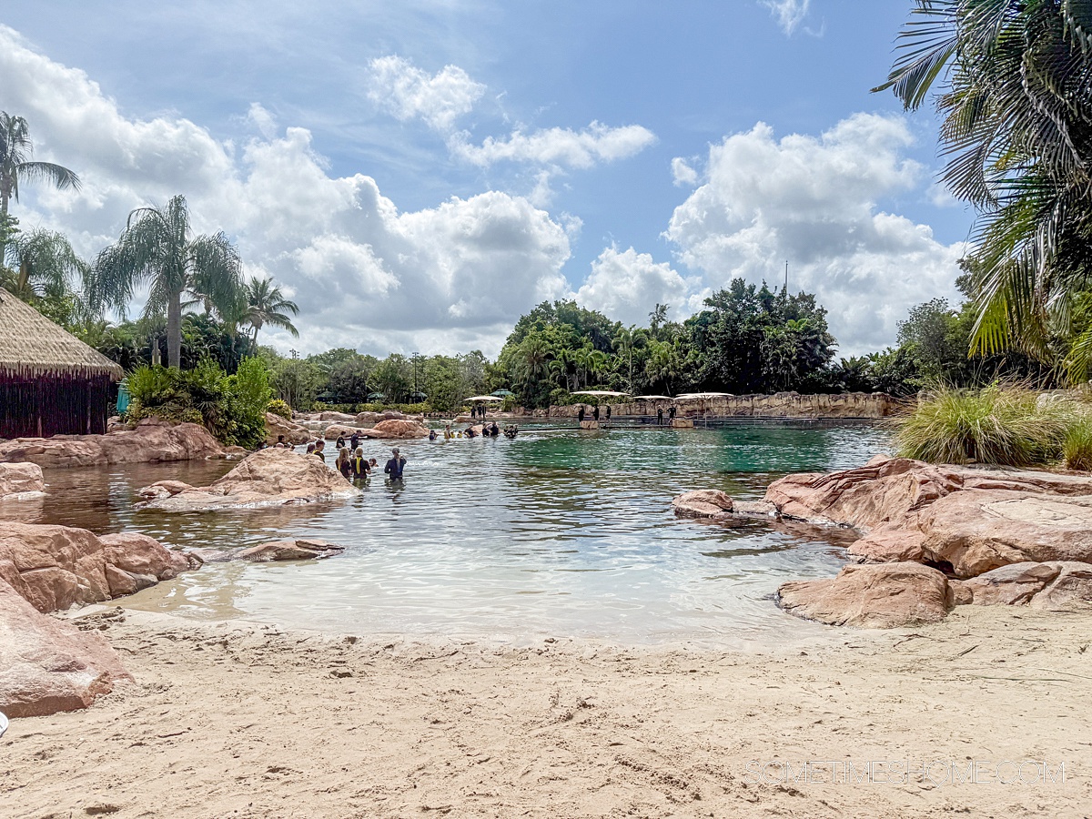 Dolphin Lagoon view at Discovery Cove theme park in Central Florida.