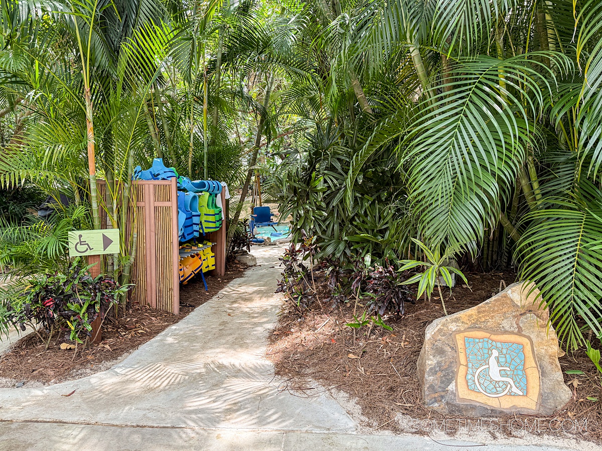 Accessible area of Discovery Cove Park with a wheelchair mosaic on the bottom right.