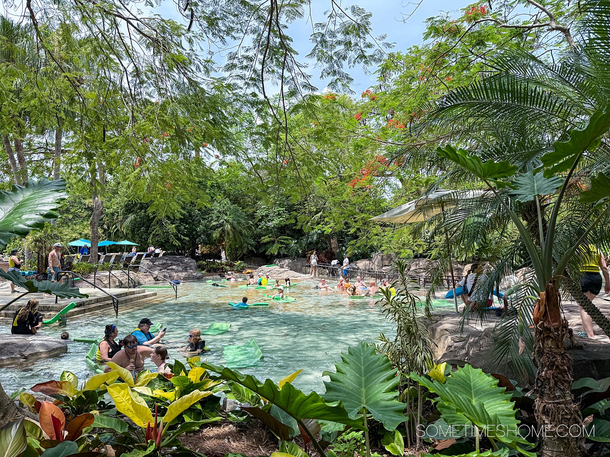 Lagoon view of Discovery Cove theme park in Orlando, Florida with tropical foliage surrounding it and guests enjoying the water.