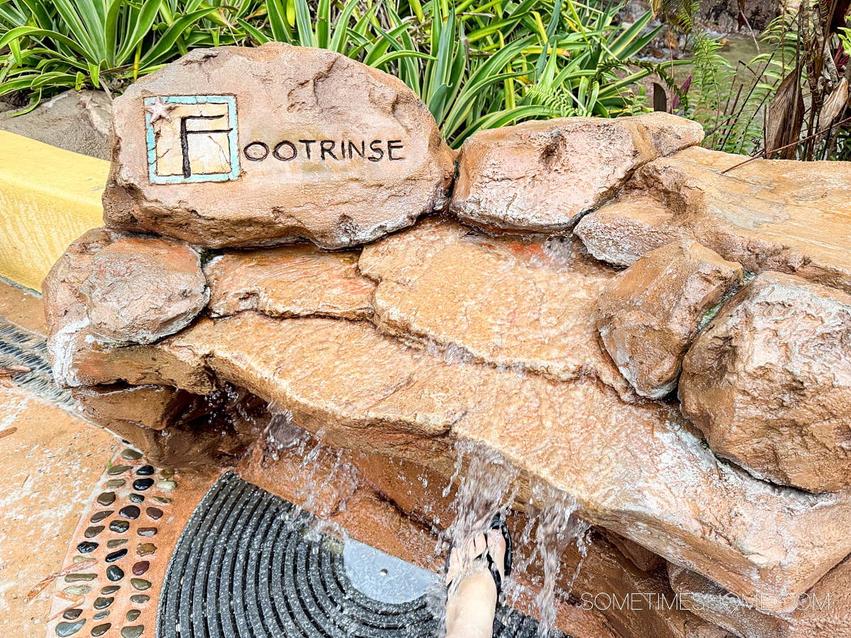 Foot rinse station with brown rock formations at Discovery Cove park.