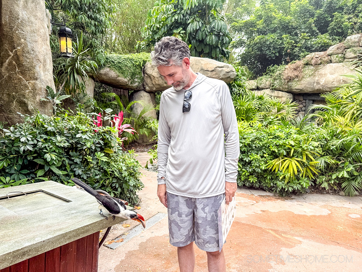 Man looking down at a bird on the edge of a table.