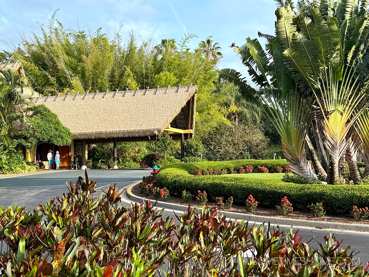 Tropical entry way to Discovery Cove theme park in Orlando, FL with a thatched roof covering for the porte cachere.