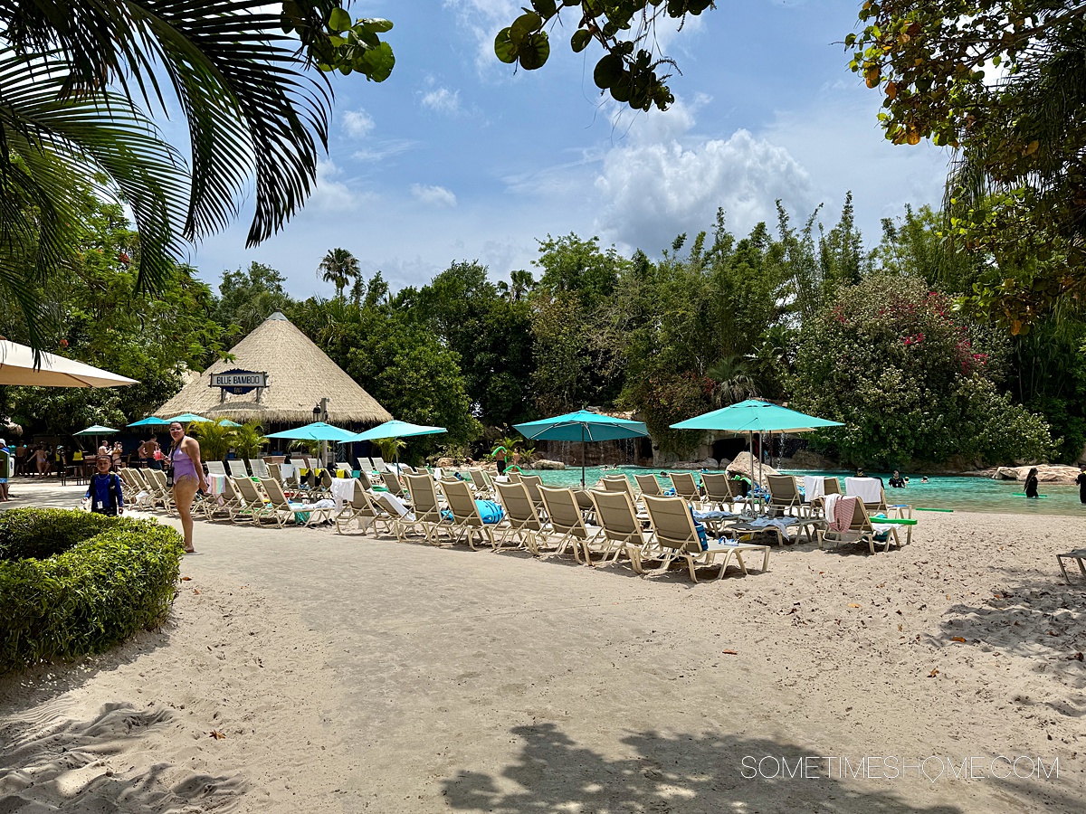 Lounge chairs on the sand of Discovery Cove, a relaxing theme park in Central Florida.