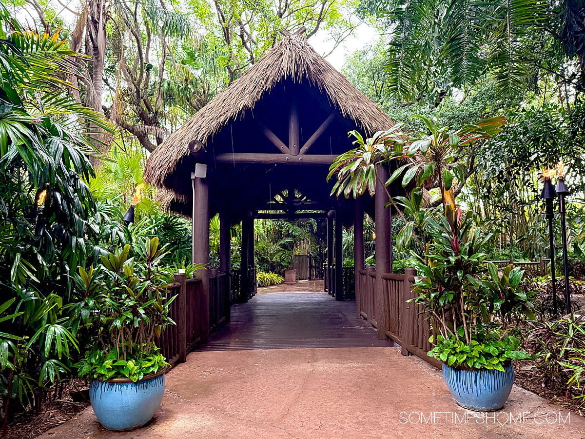 Tropical oasis and covered bridge over water at Discovery Cove park on a rainy day in Orlando.