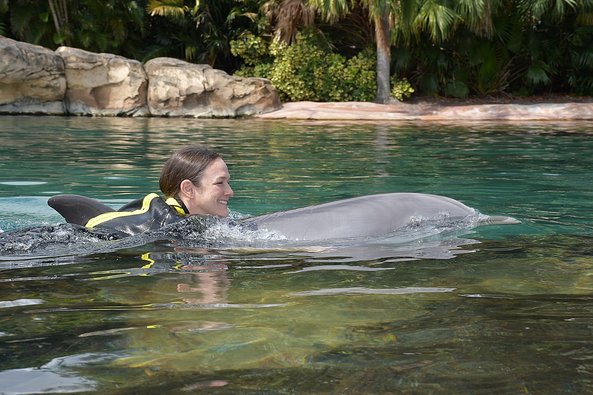 Woman and a dolphin swimming in the water of the lagoon at Discovery Cove during an animal encounter.