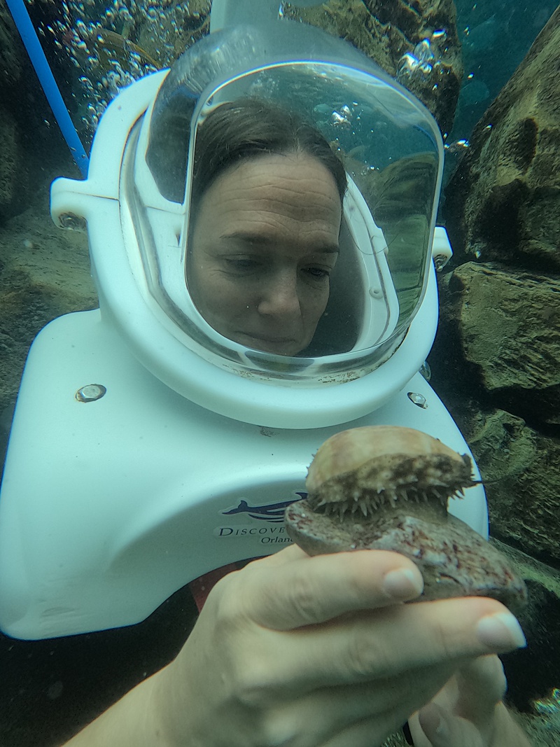 Woman holding a shell in the water with a dive helmet on.