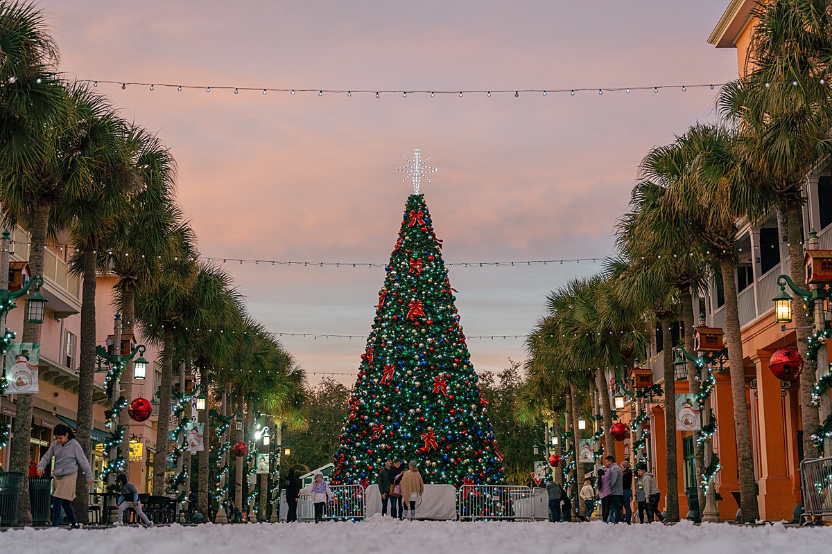 Snowfall on the ground in front of a towering Christmas Tree in downtown Celebration, FL.