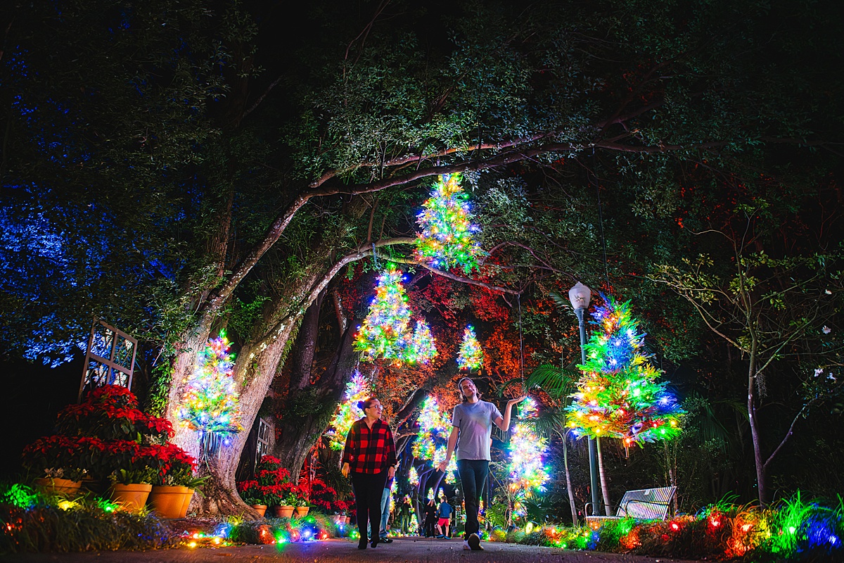 Colorfully illuminated evergreen trees floating above the sidewalk at night with a couple walking through.