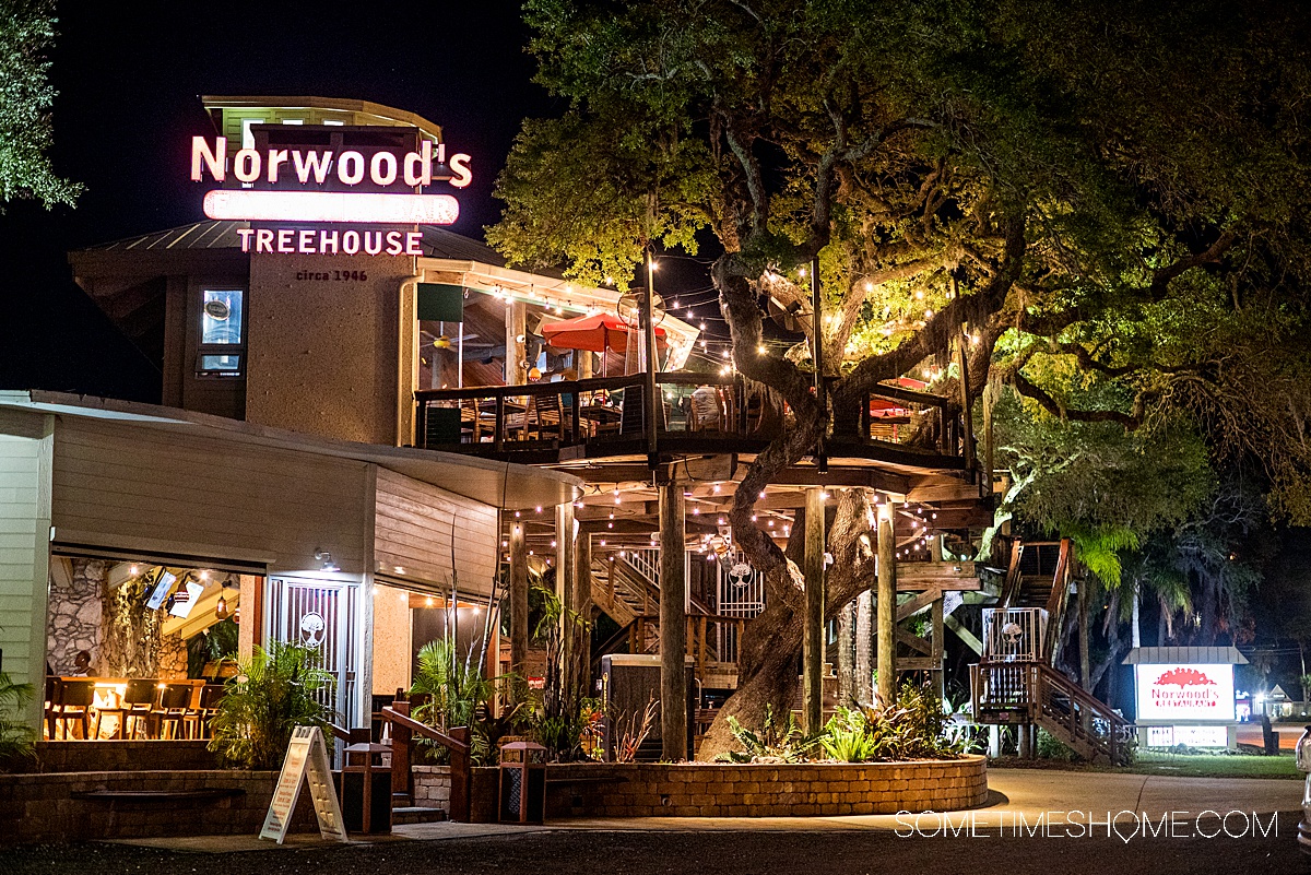 Exterior of a restaurant with a tree house illuminated at night.